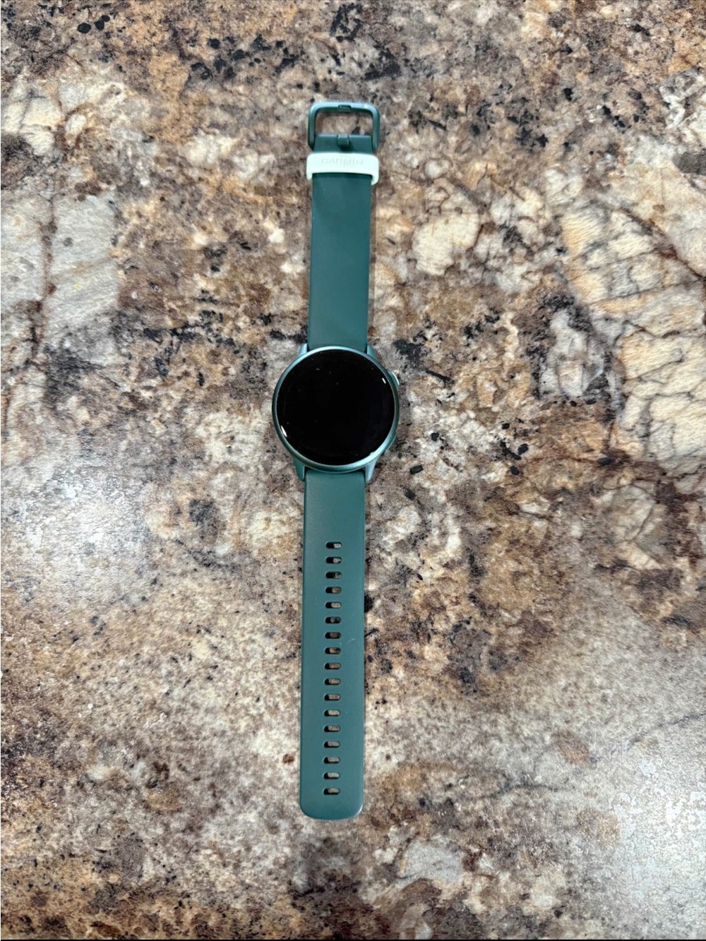 garmin vivoactive 6